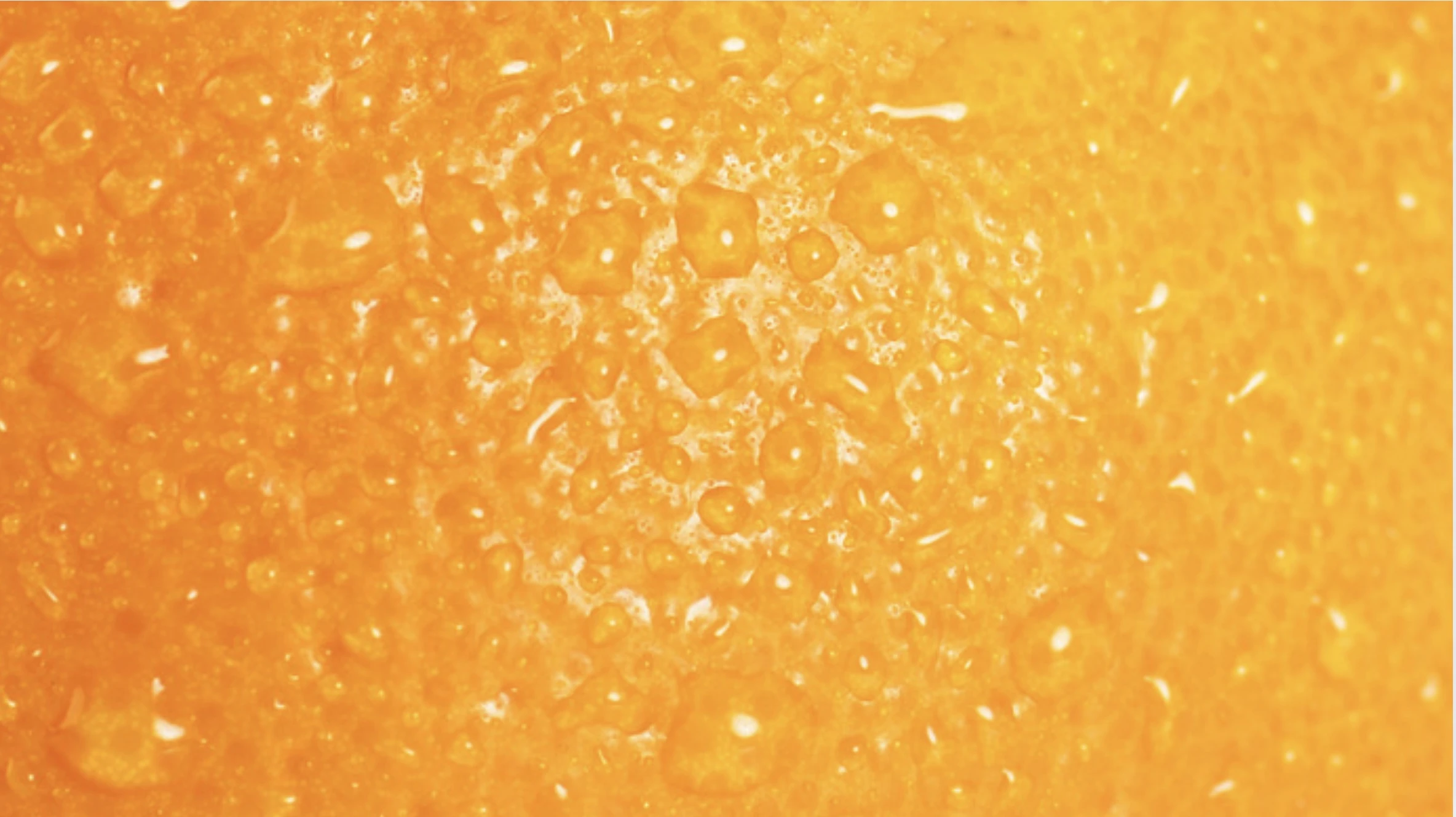 r292-orange-17686010295345.jpg